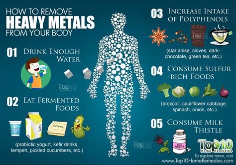 house heavy metal poisoning|how to get rid of heavy metals in body.